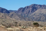 photo thumbnail #3