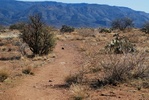 photo thumbnail #5