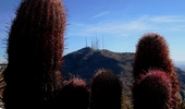 photo thumbnail #5