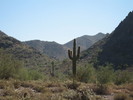 photo thumbnail #2