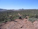 photo thumbnail #5