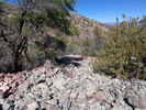 photo thumbnail #5