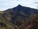 photo thumbnail #1