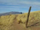 photo thumbnail #3