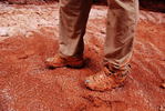 photo thumbnail #6
