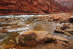 photo thumbnail #15