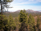 photo thumbnail #8