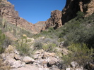 photo thumbnail #4