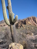 photo thumbnail #10