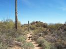 photo thumbnail #10