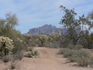 photo thumbnail #2