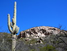 photo thumbnail #3