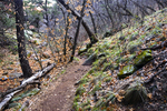 photo thumbnail #2