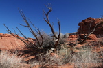 photo thumbnail #3