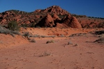 photo thumbnail #11