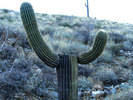 photo thumbnail #8