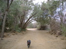 photo thumbnail #2