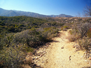 photo thumbnail #5