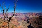 photo thumbnail #14
