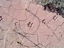 photo thumbnail #14