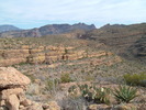 photo thumbnail #2