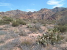 photo thumbnail #8