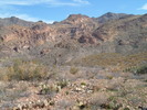 photo thumbnail #10