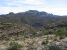 photo thumbnail #1