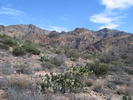 photo thumbnail #3