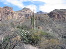 photo thumbnail #5