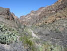 photo thumbnail #7