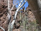 photo thumbnail #14