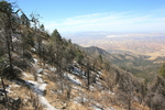 photo thumbnail #6