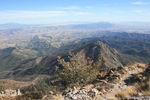 photo thumbnail #13