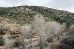 photo thumbnail #4