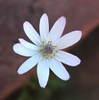 photo thumbnail #7