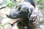photo thumbnail #3