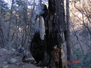 photo thumbnail #3