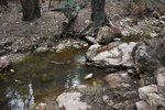 photo thumbnail #8
