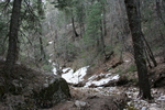 photo thumbnail #10