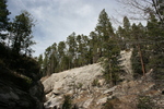 photo thumbnail #13
