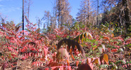 photo thumbnail #9