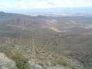 photo thumbnail #8