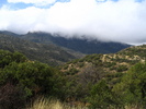 photo thumbnail #14