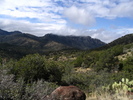 photo thumbnail #15