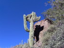 photo thumbnail #4