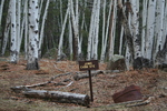 photo thumbnail #7