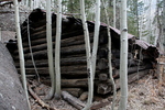 photo thumbnail #9