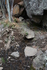 photo thumbnail #13