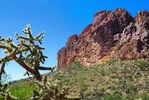 photo thumbnail #5